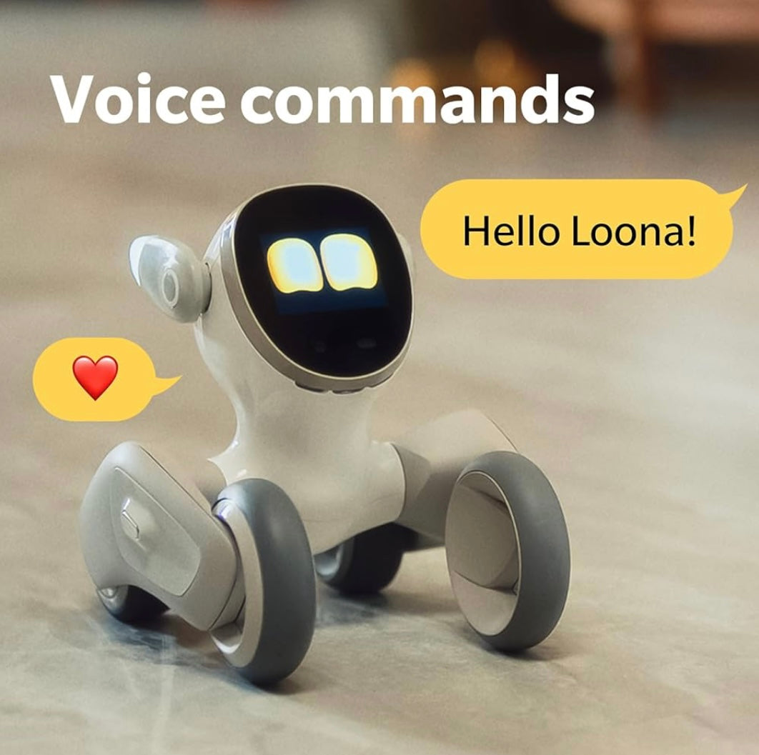 Loona Smart Robot